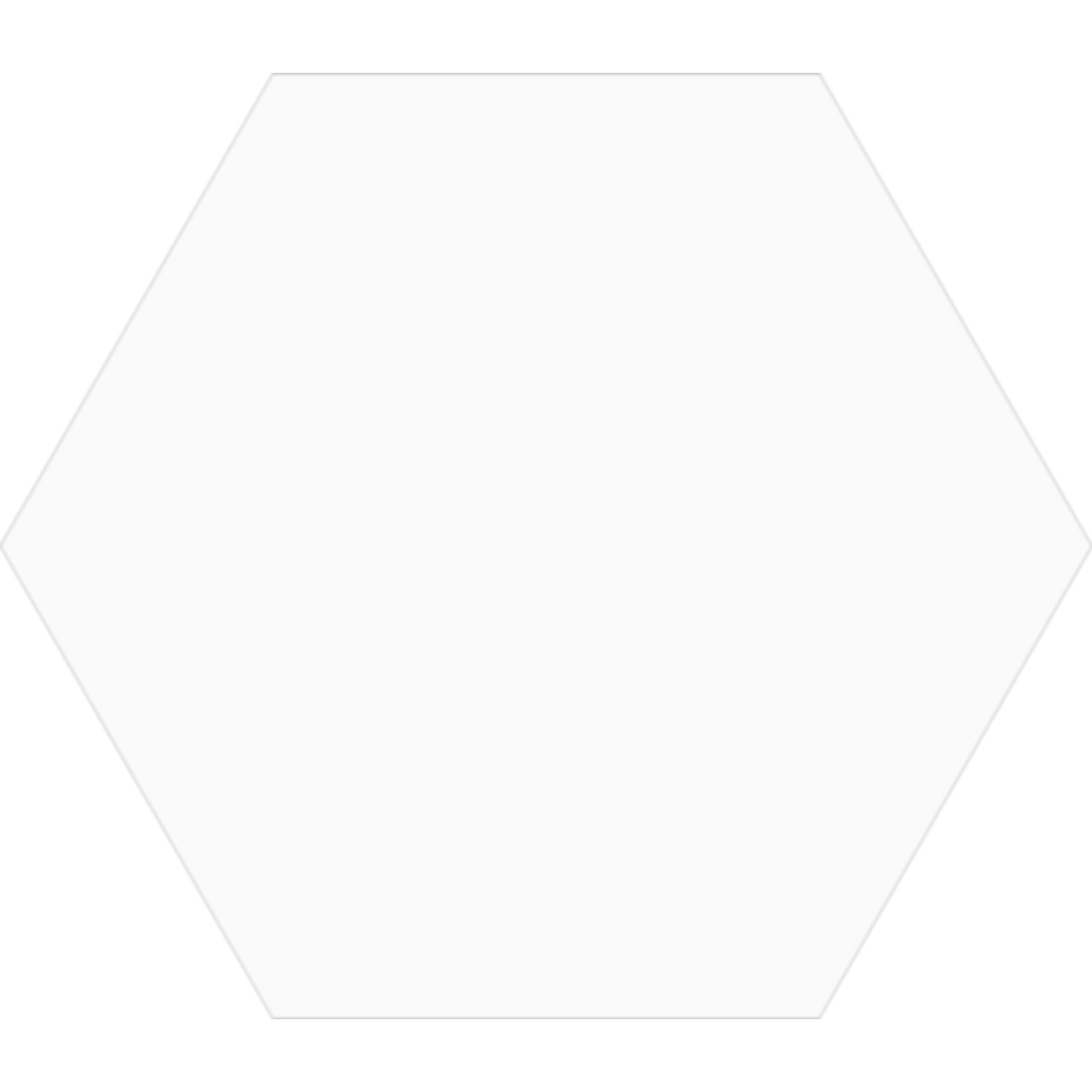 CER. MISIONES HEXAGONAL 17X19,5 CJ.1M2 BIANCO BC1507